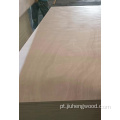 Plywood de compensado de filme 12x1220x2440mm